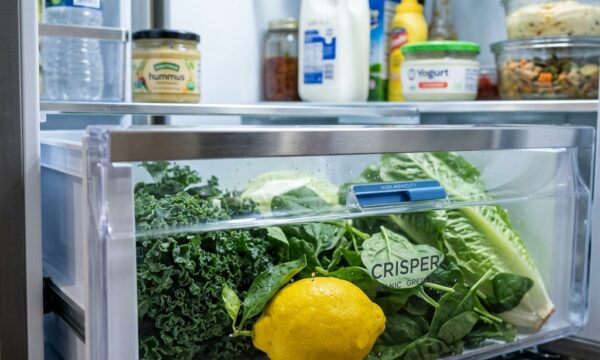 Conservation : un citron bio pourrit-il plus vite qu’un citron couvert de cire synthétique ?