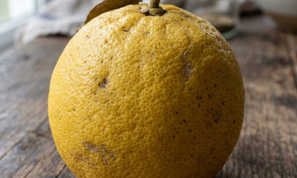 Comment reconnaître un vrai citron bio au supermarché ? Les 3 détails qui ne trompent pas